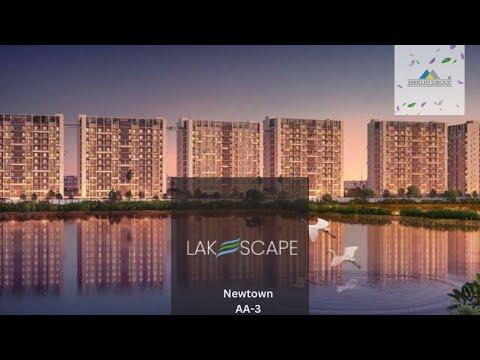 Expert Reviews & Advice