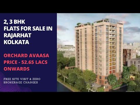 Expert Reviews & Advice