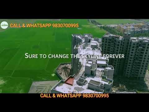 Expert Reviews & Advice