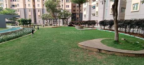 Landscaped garden with water feature, mature trees, and concrete pathways in front of multi-story apartment buildings. in Ozone Evergreens