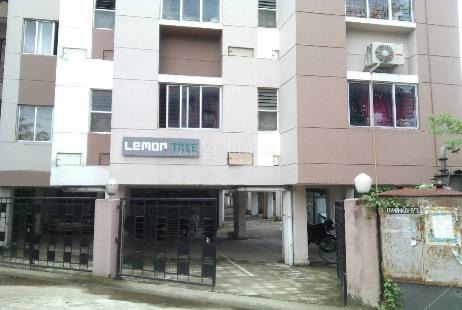 View from Gate in Lemon Tree