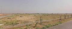 Land / Plot in Nawada Greater Noida