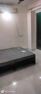 2 owner flat for rent in Sector 11 Avas Vikas Colony 2 owner flat for rent in Sector 11 Avas Vikas Colony