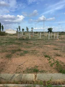 Land / Plot in Kolar Road Kolar Land / Plot in Kolar Road Kolar
