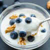Key difference between curd, hung curd, and Greek yogurt